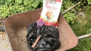 Concime naturale in sacco, attrezzo da giardinaggio e compost in una carriola