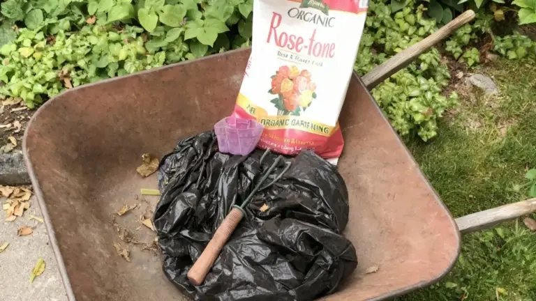 Concime naturale in sacco, attrezzo da giardinaggio e compost in una carriola